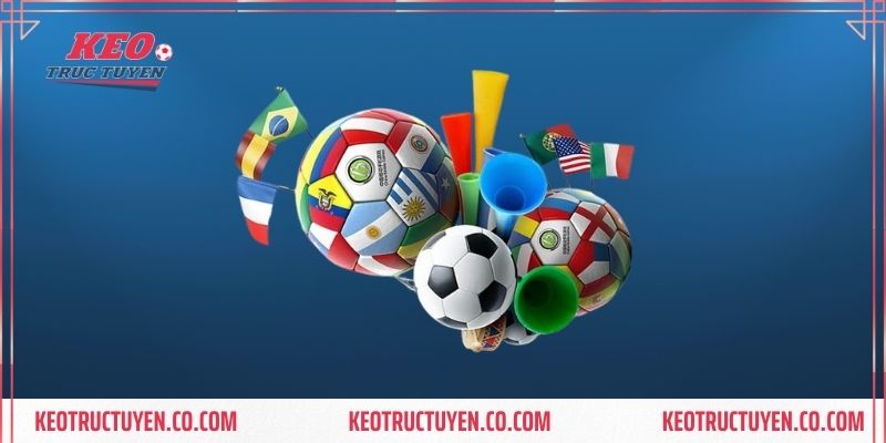 Hướng Dẫn Đọc Kèo Châu Á Chính Xác Dành Cho Người Mới Bắt Đầu