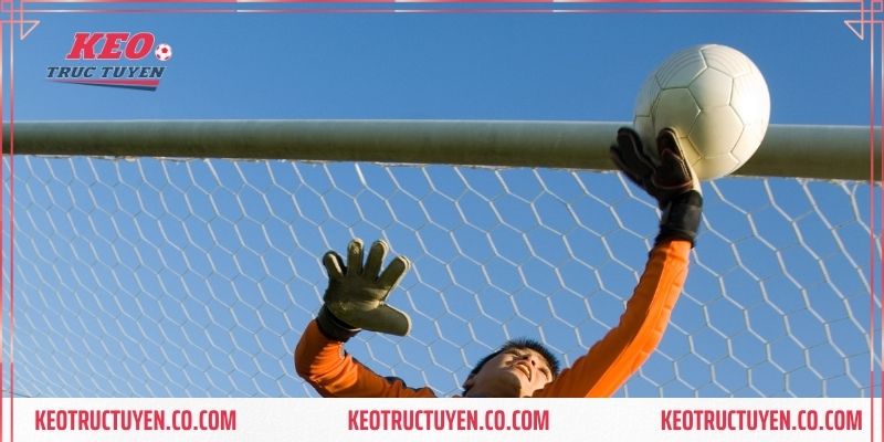 Hướng Dẫn Cách Đọc Kèo Tài Xỉu 3/4 “Mới Nhất” Cho Tân Thủ!